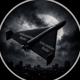 Logo de la comunidad de Telegram — Information Radar