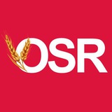 Логотип телеграм спільноти - OSR - Новини Кіровоградщини 🇺🇦