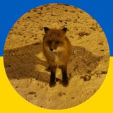 Telegram community logo — Генератор кавунів