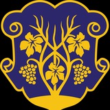 Логотип телеграм спільноти - Координаційний центр Ужгорода
