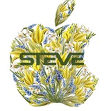 Telegram community logo — STEVE.UA📱 IPHONE📲IPAD MACBOOK DYSON📍APPLE ОДЕСА💰