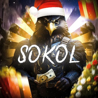 Логотип телеграм спільноти - Sokol 🦅v crypto🤑