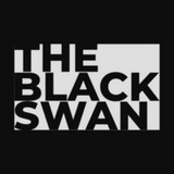 Логотип телеграм спільноти - The Black Swan