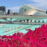 Логотип телеграм спільноти - Hola,Valencia! 🍊
