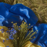 Логотип телеграм спільноти - Українці в Європі Закони Інформація ℹ️