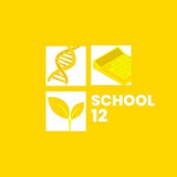Логотип телеграм спільноти - SCHOOL 12 | СЗОШ №12