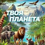 Логотип телеграм спільноти - Твоя Планета 🌍