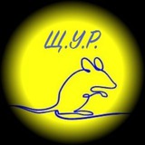 Логотип телеграм спільноти - ЩУР / перший Україномовний блог з щоденно уживаних речей