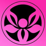 Telegram community logo - Liliya Yanush Shop (Ринкова 5055)