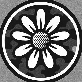 Una de las imágenes del historial de logotipos de esta comunidad
