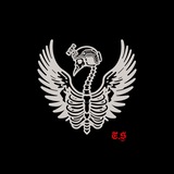 Логотип телеграм спільноти - Tactical Swan
