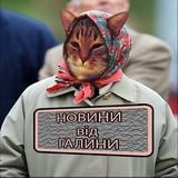 Логотип телеграм спільноти - Новини від Галини