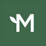 Метрополіс