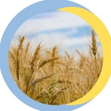 Логотип телеграм спільноти - Заявки Вермітор 🌾