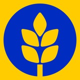 Логотип телеграм спільноти - Купити Спирт