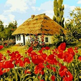Логотип телеграм спільноти - 🏡Будинок в селі (продаж, покупка, оренда)