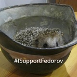 Логотип телеграм спільноти - Їжак у касці