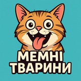 Логотип телеграм спільноти - 🐾🐾 Мемні Тварини — смішні котики і песики