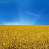 Logo de la comunidad de Telegram — U-Time | Про Україну та Світ