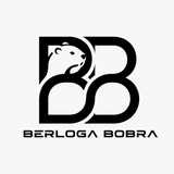 Logo de la comunidad de Telegram — 𝐁𝐄𝐑𝐋𝐎𝐆𝐀 𝐁𝐎𝐁𝐑𝐀