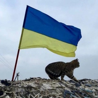 Одине з зображень історіі логотипів цієї спільноти