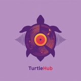 Логотип телеграм спільноти - Саундшторм Turtle Hub