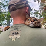Логотип телеграм спільноти - ⚕️Рудий114/Ginger114