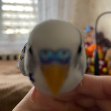 Логотип телеграм спільноти - 