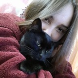 Логотип телеграм спільноти - Какчус з голками🌵