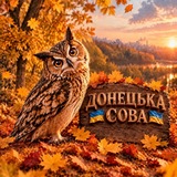 Логотип телеграм спільноти - Донецька Сова 🦉