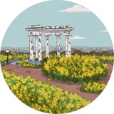 Логотип телеграм спільноти - Цвіт Амброзії