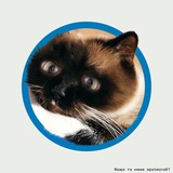 Logo de la comunidad de Telegram — Кіт Аутист