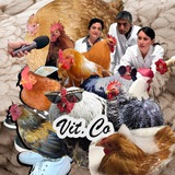 Logo de la comunidad de Telegram — Vit.Co ™