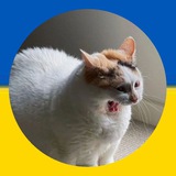 Telegram community logo — Мови Телеграму