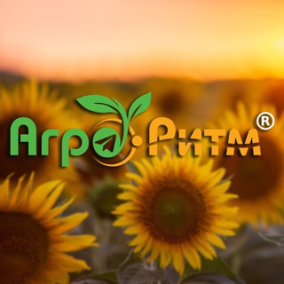 Telegram community logo — 🌻«Агро-Ритм»🌽