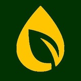 Logo de la comunidad de Telegram — FLORENTA Добрива