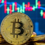 Logo de la comunidad de Telegram — BTC Global