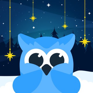 Telegram community logo — Netpeak Software | SEO, Marketing