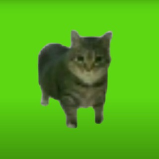 One of the images from the logo history of this community