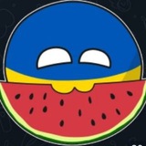 Логотип телеграм спільноти - Кіт Василь🍉