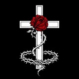 Logo de la comunidad de Telegram — [☨] | Royalist's Notes