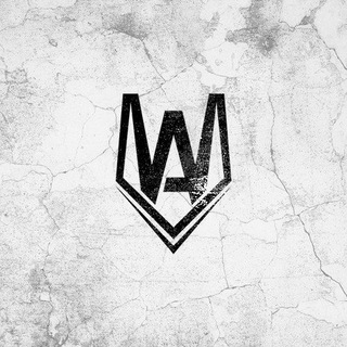 One of the images from the logo history of this community