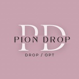 Логотип телеграм спільноти - pion drop | жіночі сумки дропшипінг