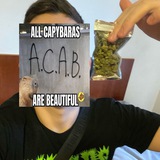 Logo de la comunidad de Telegram — BBBBUYER
