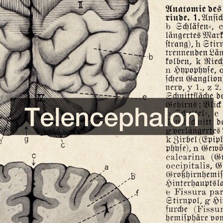 Логотип телеграм спільноти - Telencephalon