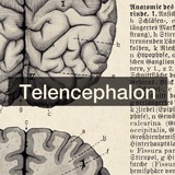Logo de la comunidad de Telegram — Telencephalon