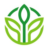 Logo de la comunidad de Telegram — Рослина Карпат