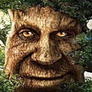 One of the images from the logo history of this community