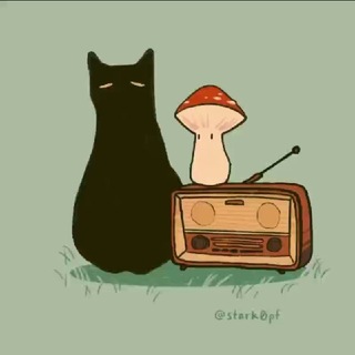Telegram community logo — old cat house [lossless & Hi-Res lossless music]