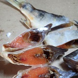 Логотип телеграм спільноти - В'ялена РИБКА🐟 від виробника по Україні